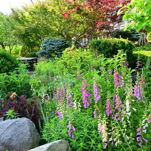 gardening