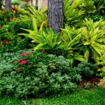 gardening