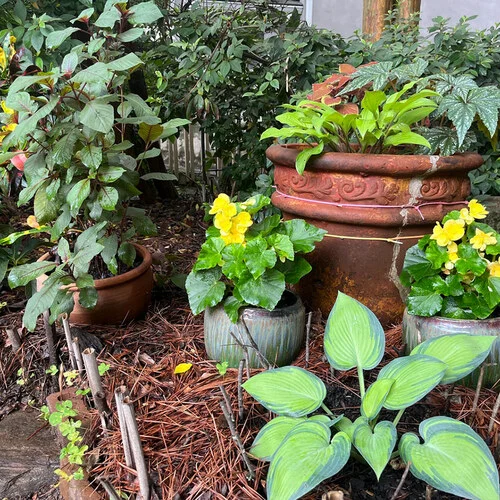 gardening