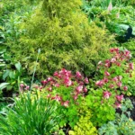 Gardening