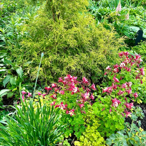Gardening
