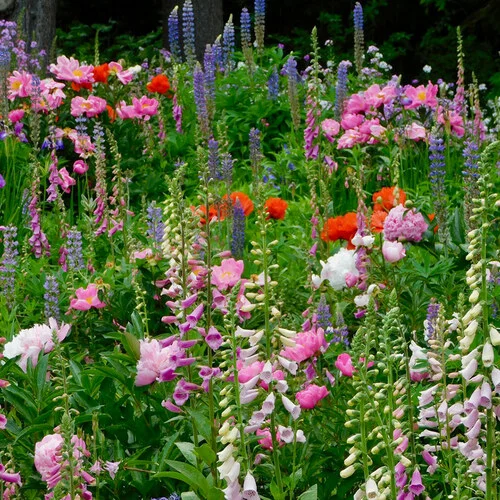 Gardening