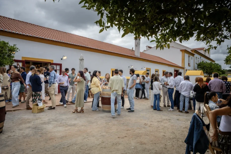 Quinta da Fonte Souto