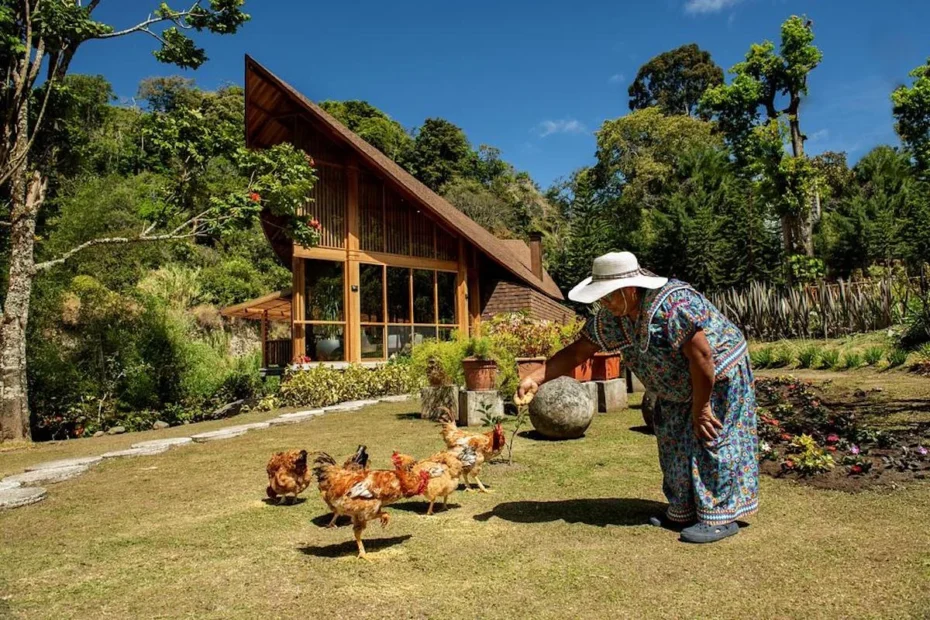 Arquitetura Sustentável