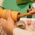 plantas medicinais