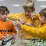sustentabilidade