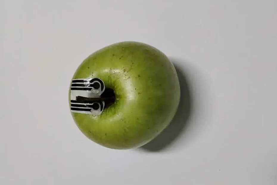 sensores biodegradáveis