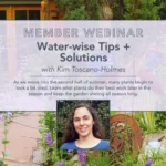 Water-Wise Gardening