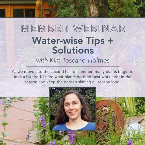 Water-Wise Gardening