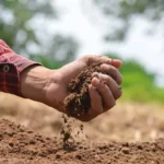 soil test kits