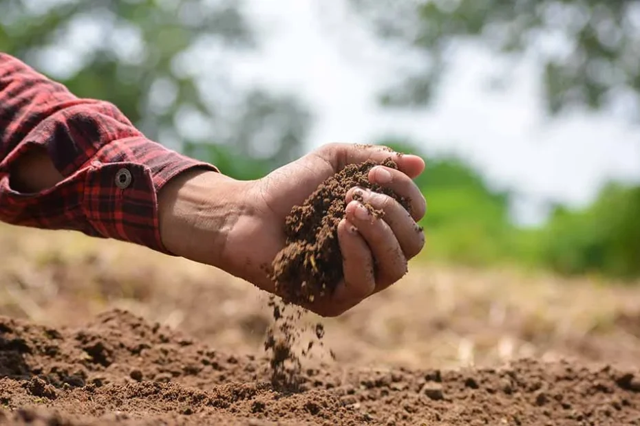 soil test kits
