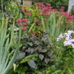 gardening