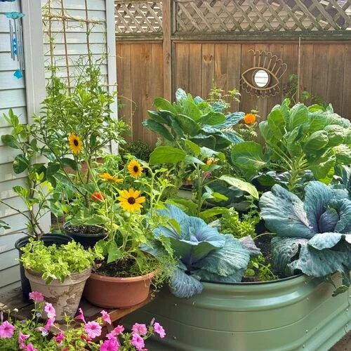 jardinagem urbana
