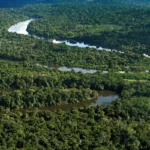 Amazônia