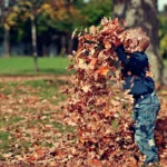 sustentabilidade