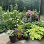 Mountain Gardening