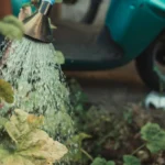 jardinagem