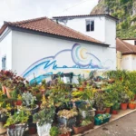 Madalena do Mar