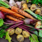 Cool-weather crops