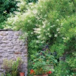 Gardening