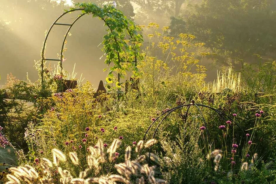 fall gardening