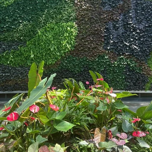 Royal Botanic Garden Sydney