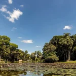 Jardim Botânico