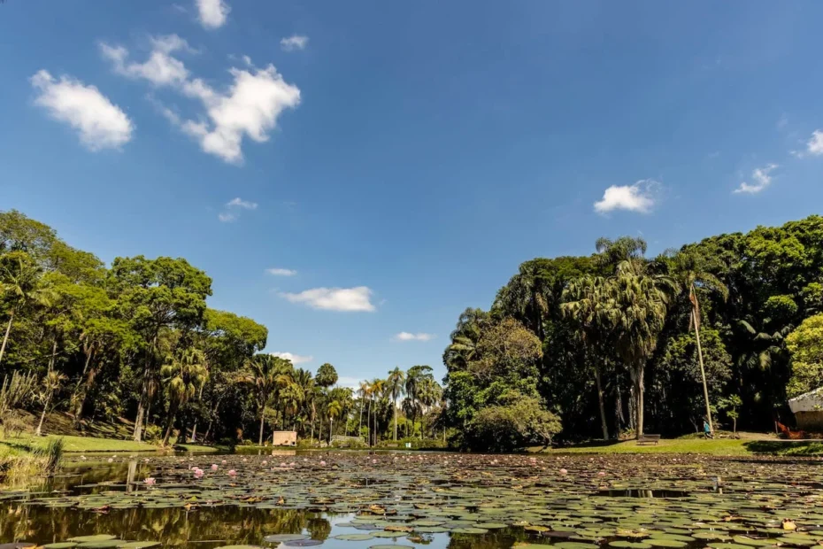 Jardim Botânico