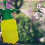 garden pest control