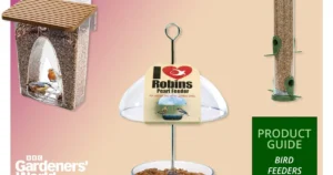 bird feeders