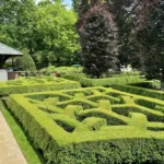Topiary