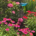 Gardening