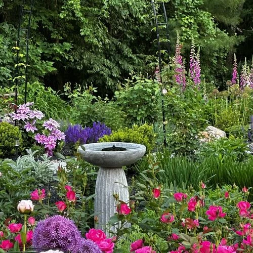 Garden design