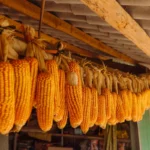 SLC Agrícola