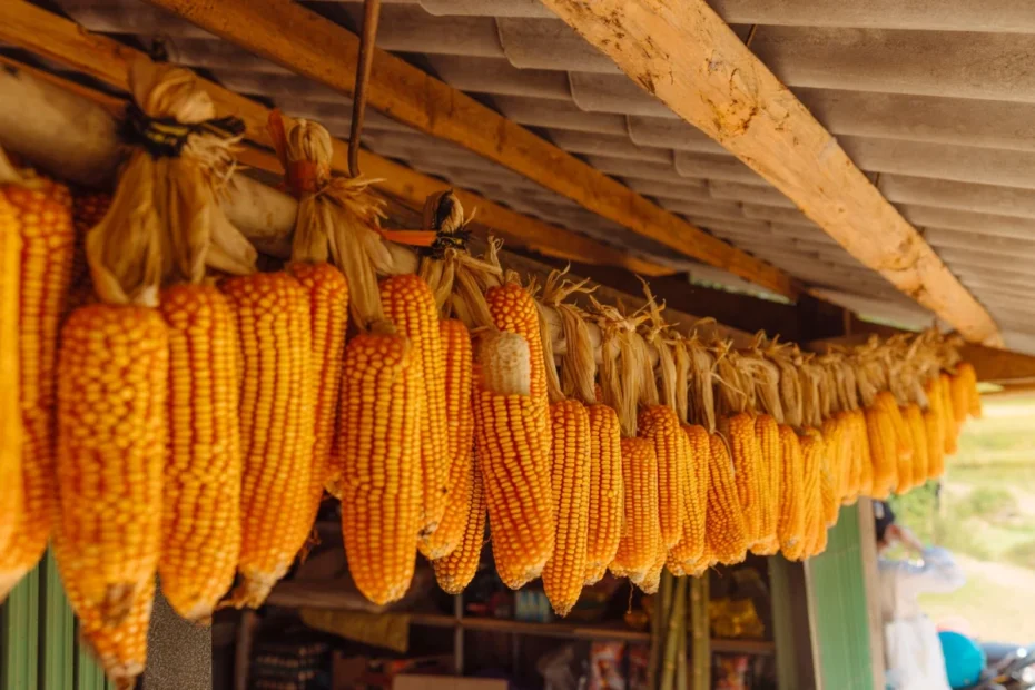 SLC Agrícola