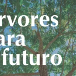 árvores urbanas