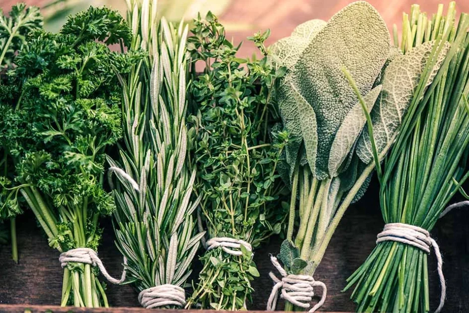 Freezing herbs