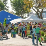 jardinagem