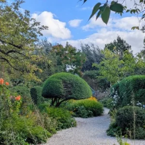 Dutch garden