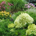 gardening