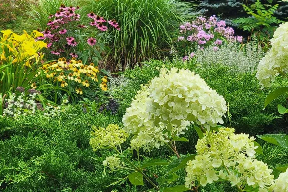 gardening