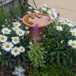 Jardinagem