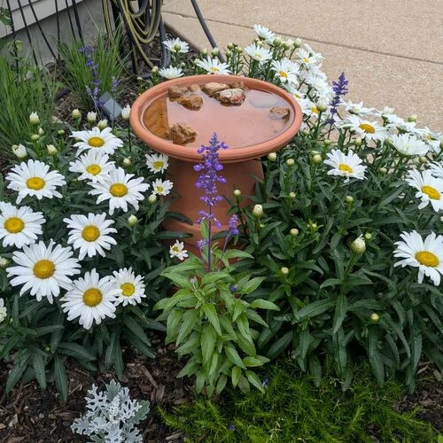 Jardinagem