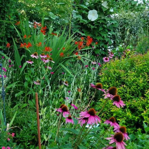 Gardening