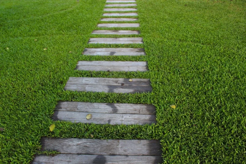 jardinagem