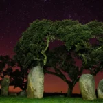 Lírio-do-vale