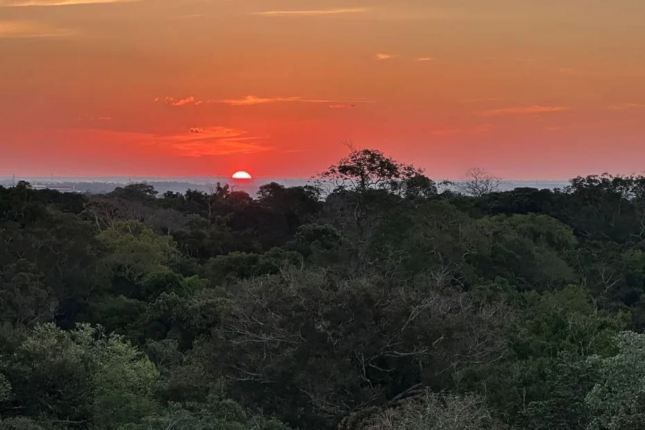 Amazônia