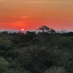 Amazônia