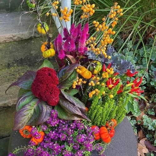 Fall gardening