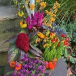Fall gardening